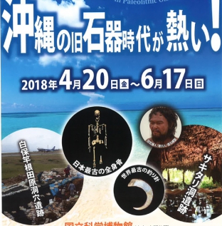 【企画展】沖縄の旧石器時代が熱い！