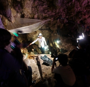 沖縄で世界最古の釣り針発見！サキタリ洞