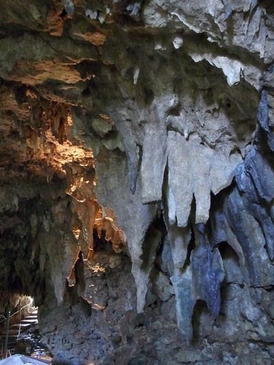 サキタリ洞 1万2000年前の石器と人類化石発見！ | 遺跡発掘について | ガンガラーの谷 生命の神秘を辿る旅へ
