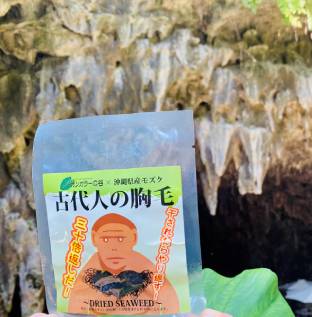 ガンガラーの谷×沖縄県産モズク「古代人の胸毛」