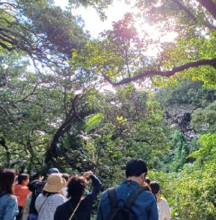 ガイドツアーの風景