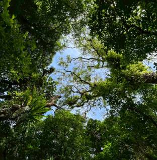 沖縄本格的な夏到来