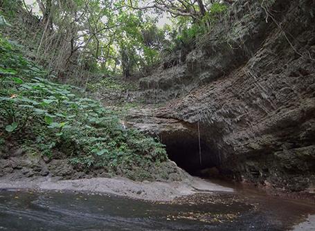 ガンガラーの谷 生命の神秘を辿る旅へ　イキガ洞