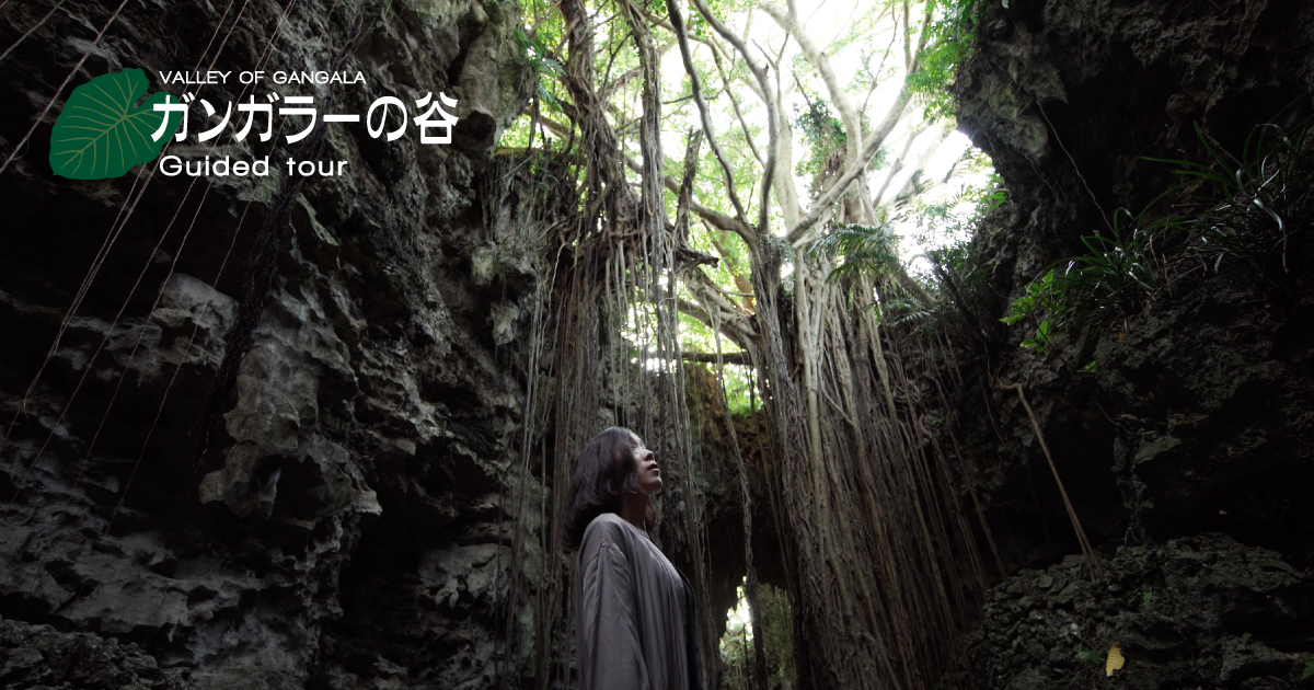 ガンガラーの谷 生命の神秘を辿る旅へ